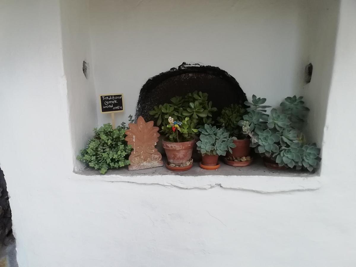 Holiday home Petrochori Memories House- Floor 1 Petrochori (Peloponnese)